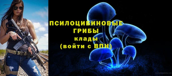 герыч Пестово
