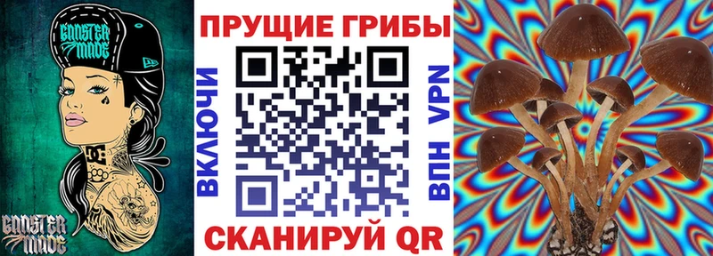 Галлюциногенные грибы Magic Shrooms  Симферополь 