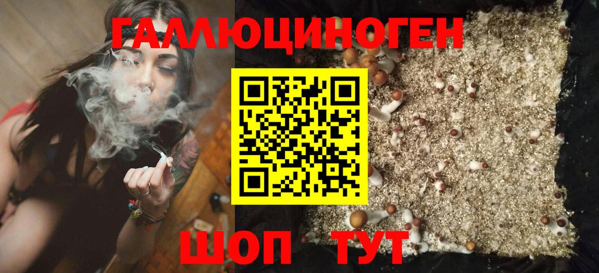 Симферополь  Галлюциногенные грибы GOLDEN TEACHER  Вход с VPN 