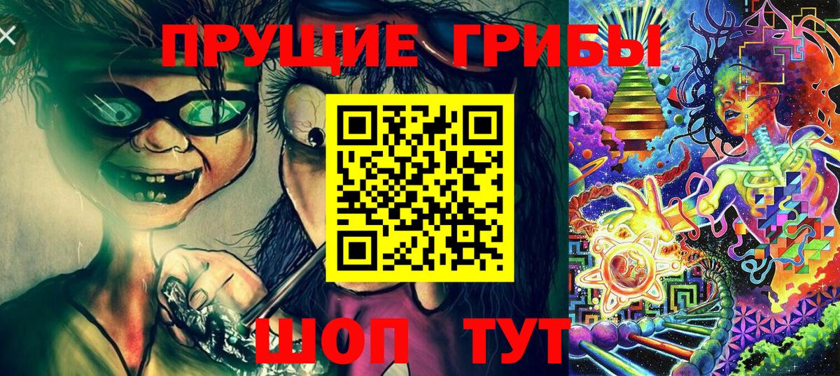 Псилоцибиновые грибы Psilocybe Симферополь